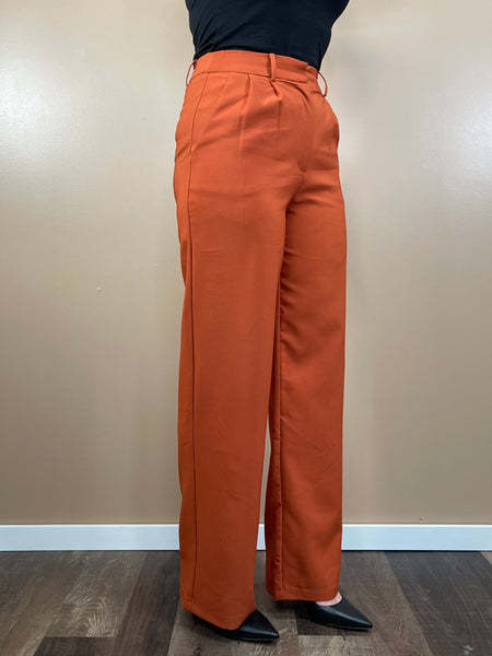 Pleated Wide Pants - Orange Brown