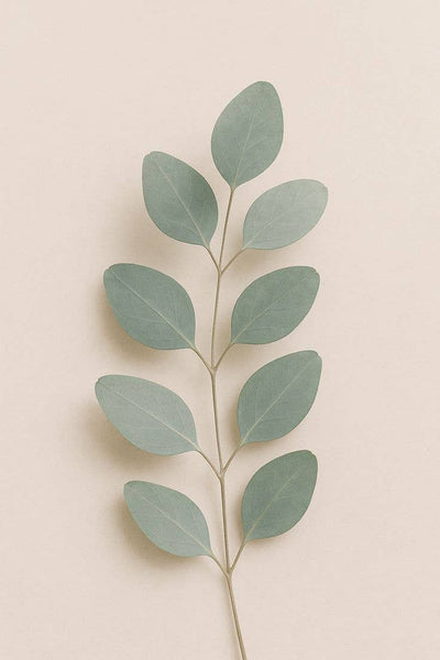Pocket Sanitizer Lavender x Eucalyptus