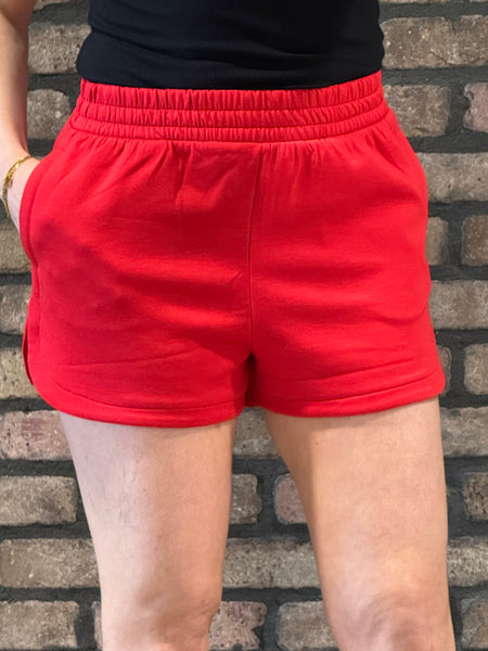 Scuba Dolphin Shorts - Ruby