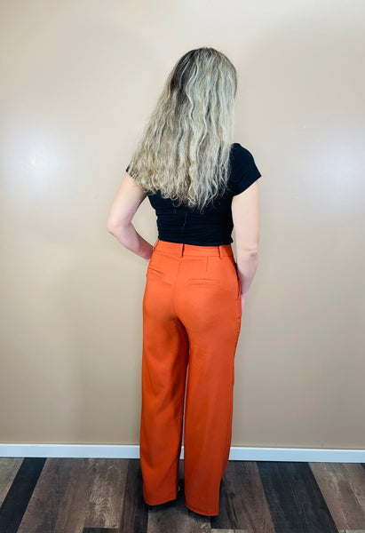 Pleated Wide Pants - Orange Brown